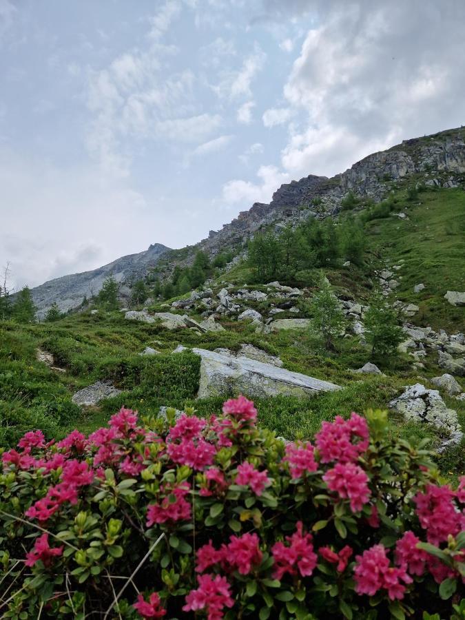 Almgasthaus Glocknerblick Großkirchheim Exteriér fotografie