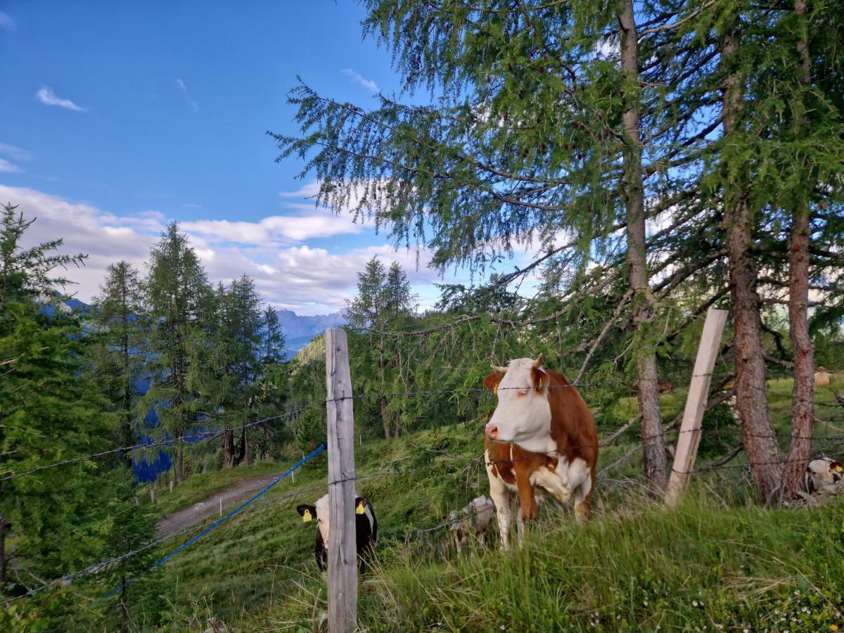 Almgasthaus Glocknerblick Großkirchheim Exteriér fotografie